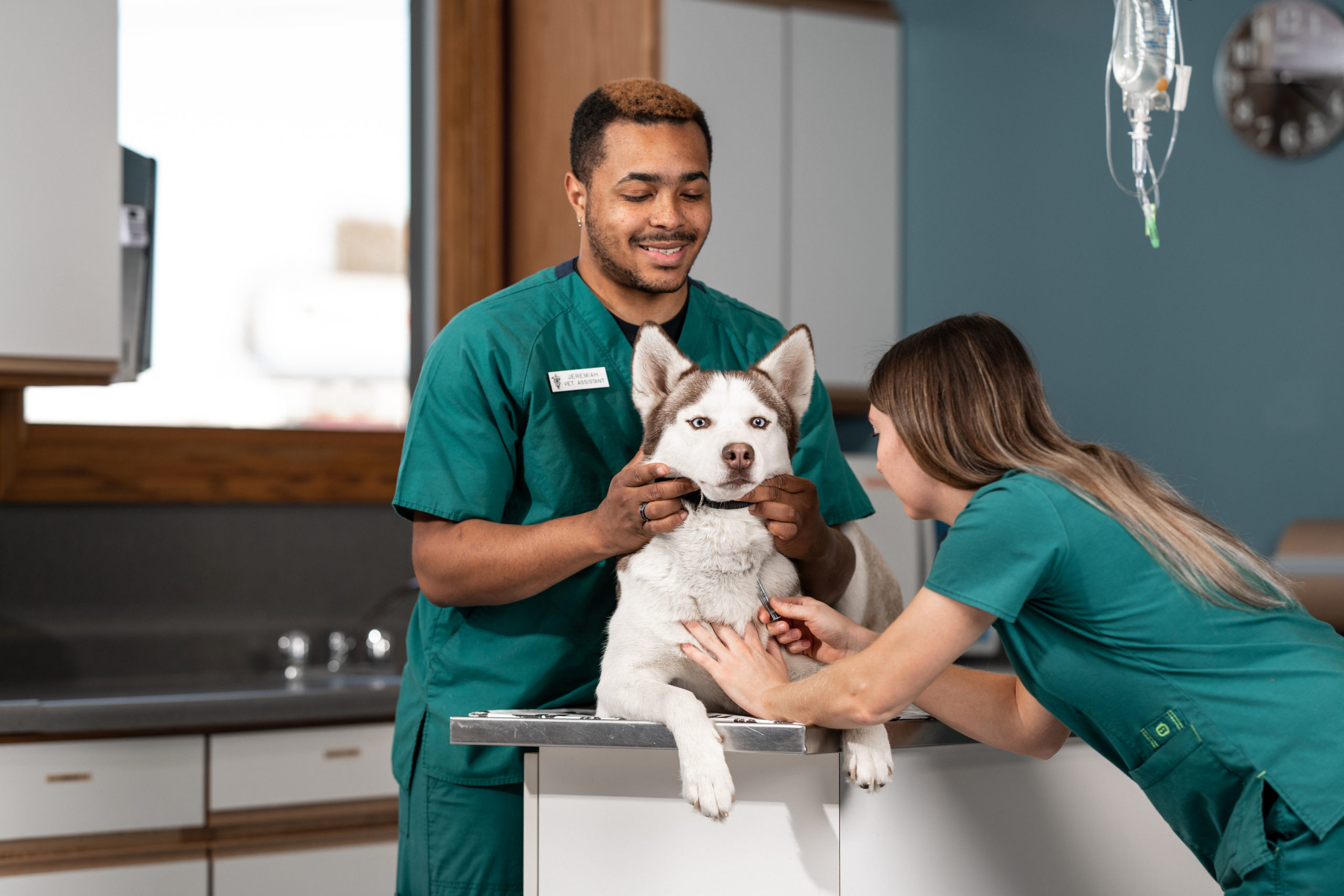 Comprehensive Pet Wellness Care