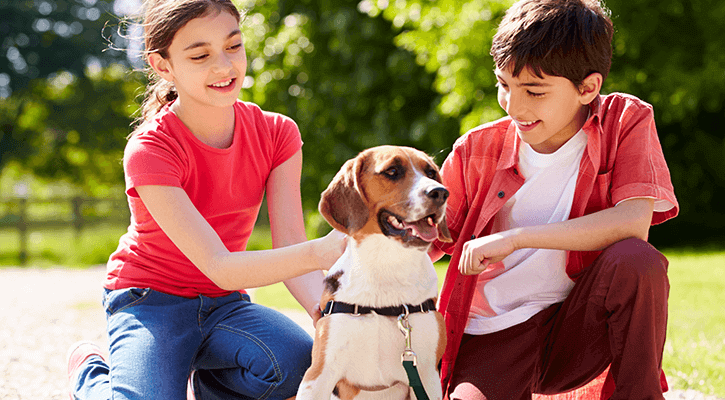 Microchipping Pet Microchipping in Springfield and Chatham, IL