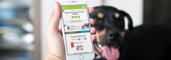 Online Pharmacy | Capitol Illini Veterinary Services