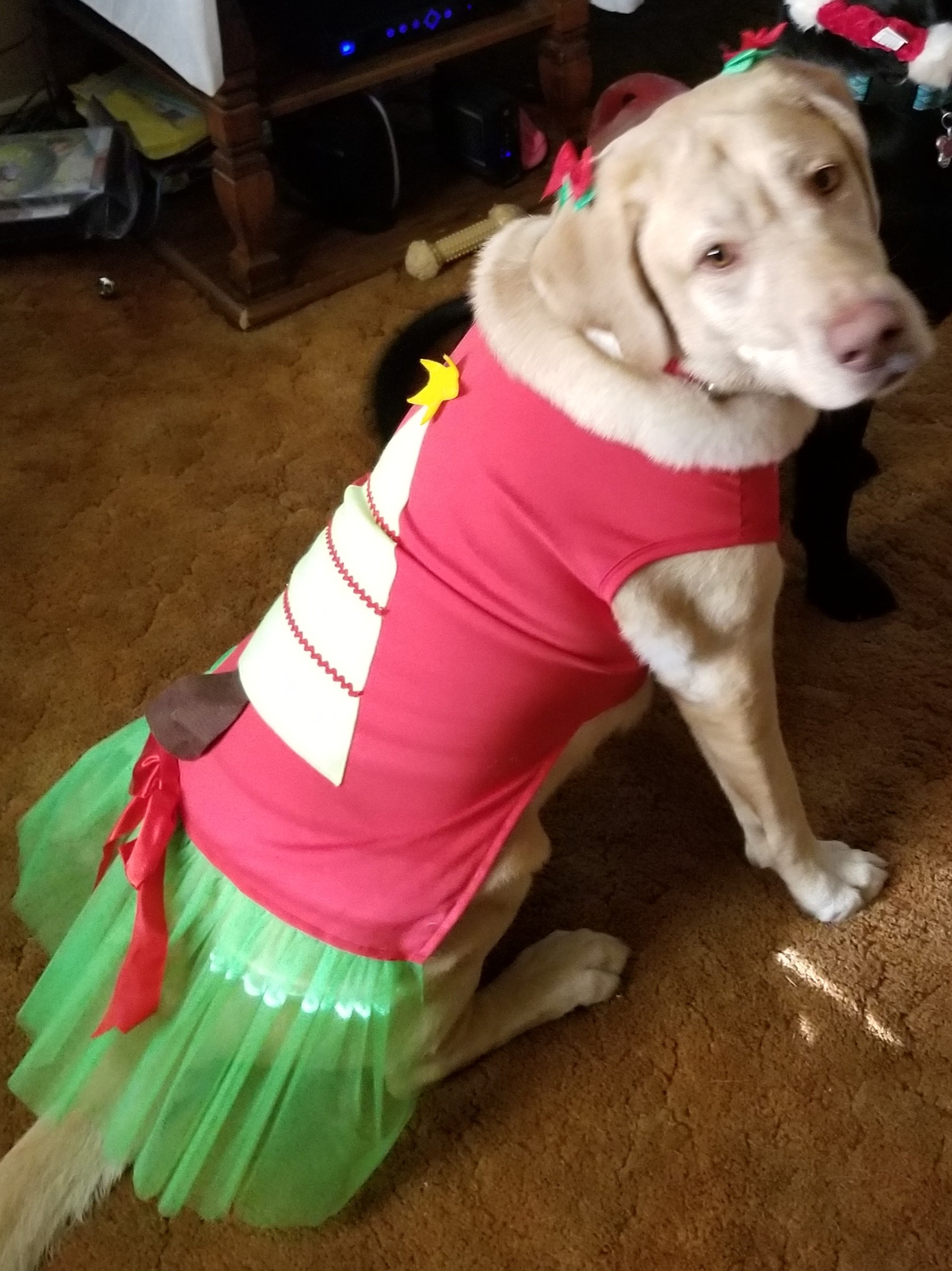 xmasdress xmasdress